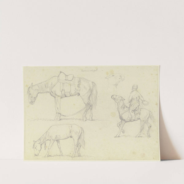 Tartarenreitpferde, rechts ein Reiter mit Fangseil by Teutwart Schmitson