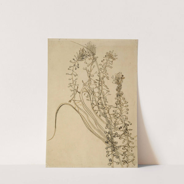 Tassel hyancinth (1889) by Vincent van Gogh