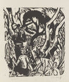 Taubenjäger im Gehölz, Fehmarn (1912)