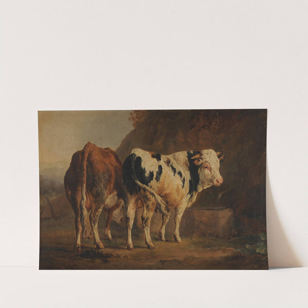 Taureau à robe blanche et noire et vache à robe brune by Jacques-Raymond Brascassat