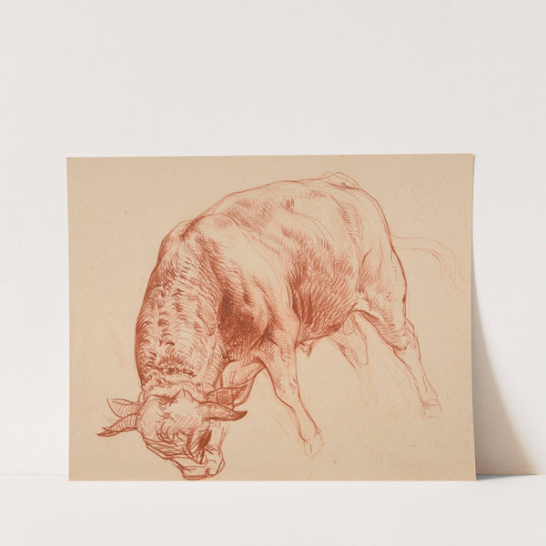 Taurillon by Jacques-Raymond Brascassat