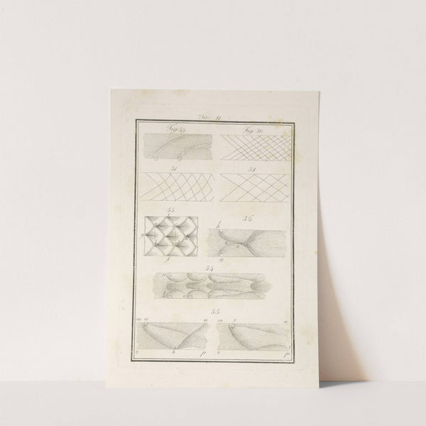 Tavola 11 by Francesco Cardinali