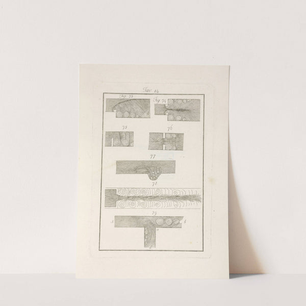 Tavola 14 by Francesco Cardinali