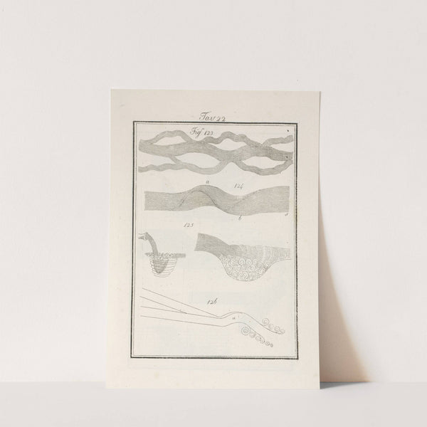 Tavola 22 by Francesco Cardinali