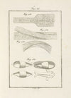 Tavola 28