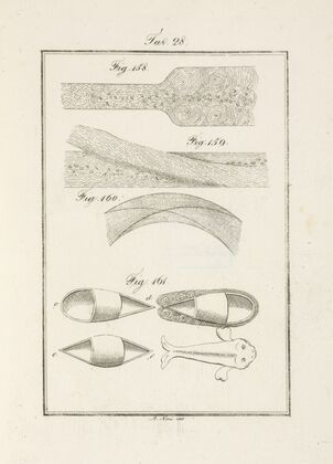 Tavola 28