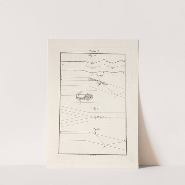 Tavola 5 by Francesco Cardinali