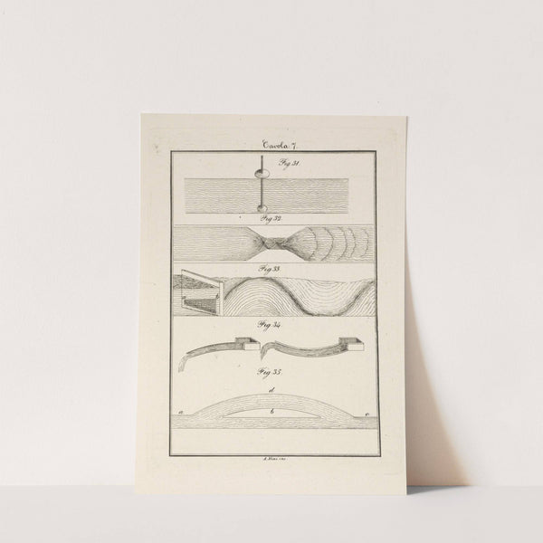 Tavola 7 by Francesco Cardinali