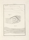 Tavola 8