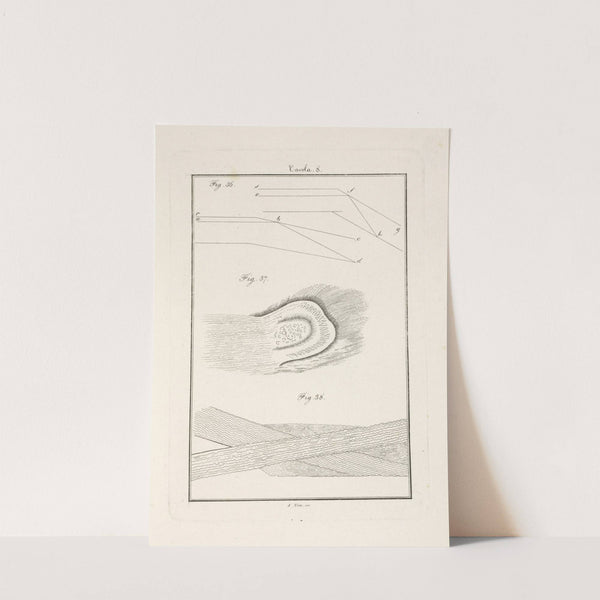 Tavola 8 by Francesco Cardinali