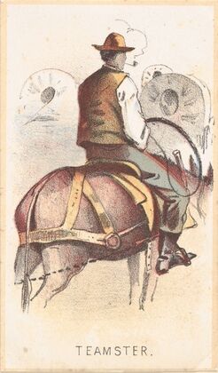 Teamster (1864)