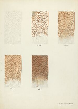 Technique Demo (Wood Grain)