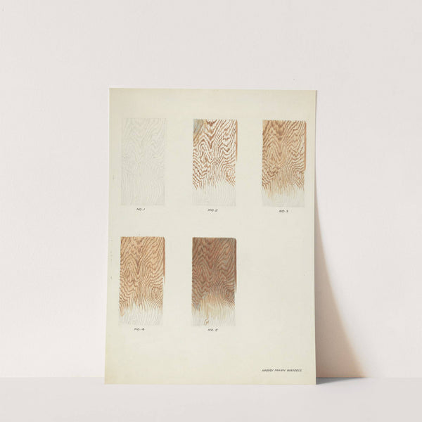 Technique Demo (Wood Grain) by Harry Mann Waddell