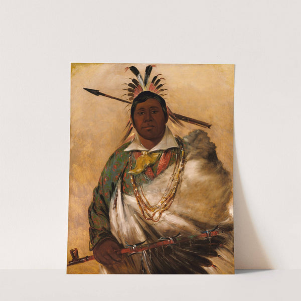 Téh-Ke-Néh-Kee, Black Coat, a Chief by George Catlin