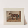 Ten Broeck; Bay Horse (1881-1882) by Henry Stull