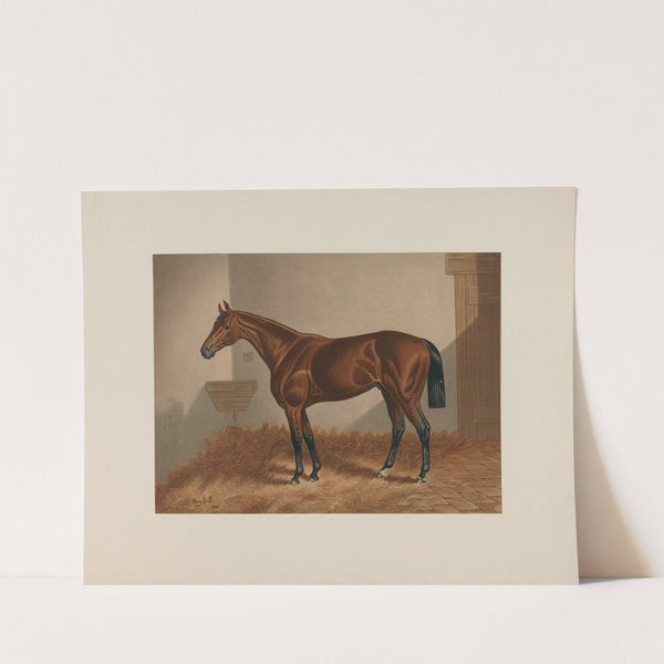Ten Broeck; Bay Horse (1881-1882) by Henry Stull