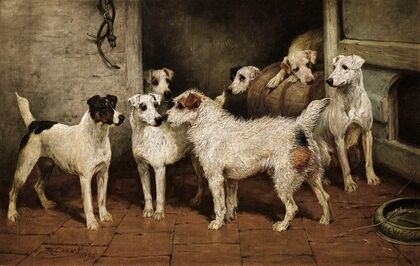 Terriers at a Stable Door, ‘A Distant Relative’