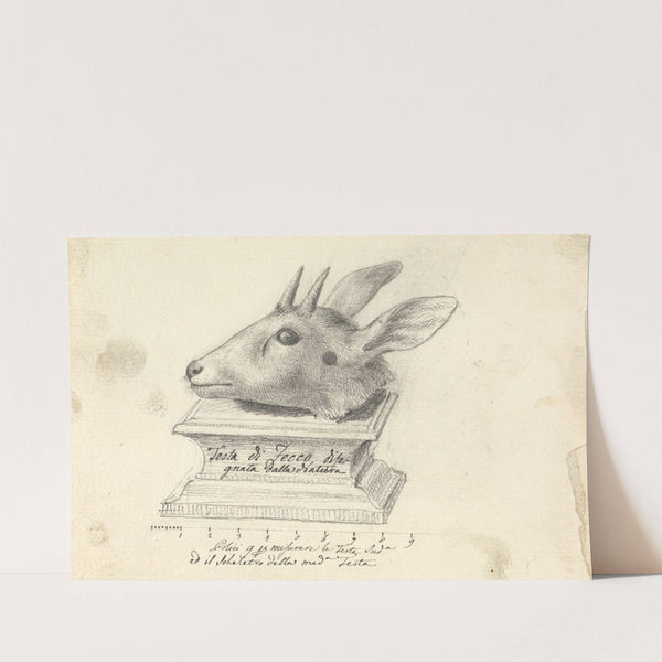 Testa di Fecco by Luigi Balugani