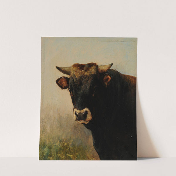 Tête de boeuf noir by Jacques-Raymond Brascassat