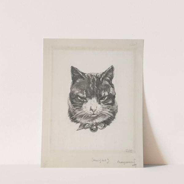 Tête de chat. (1866 - 1878) by Félix Bracquemond