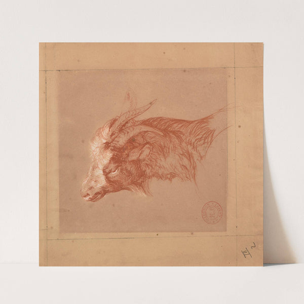 Tête de chèvre by Jacques-Raymond Brascassat