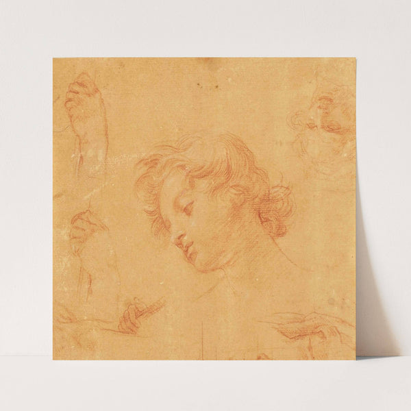 Tête de jeune garçon, études subsidiaires de mains et visage by Pompeo Batoni