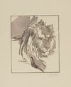 Tête de lion (1917)