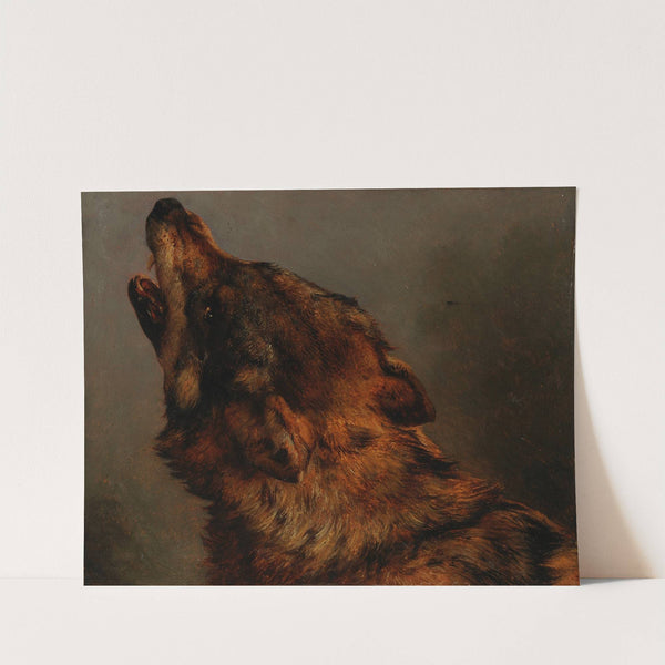 Tête de loup by Jacques-Raymond Brascassat