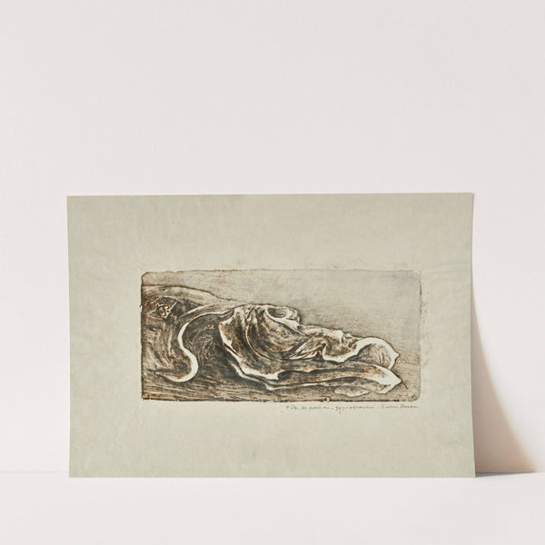 Tête de poisson (1895) by Pierre Roche