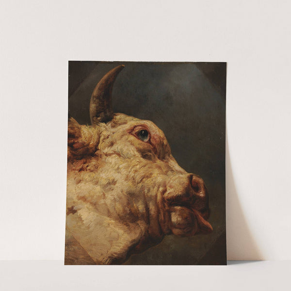 Tête de taureau by Jacques-Raymond Brascassat