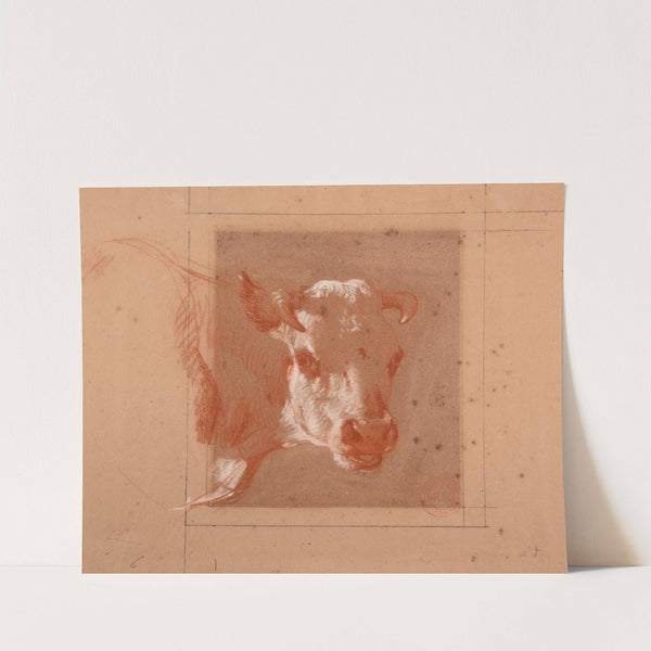 Tête de vache by Jacques-Raymond Brascassat