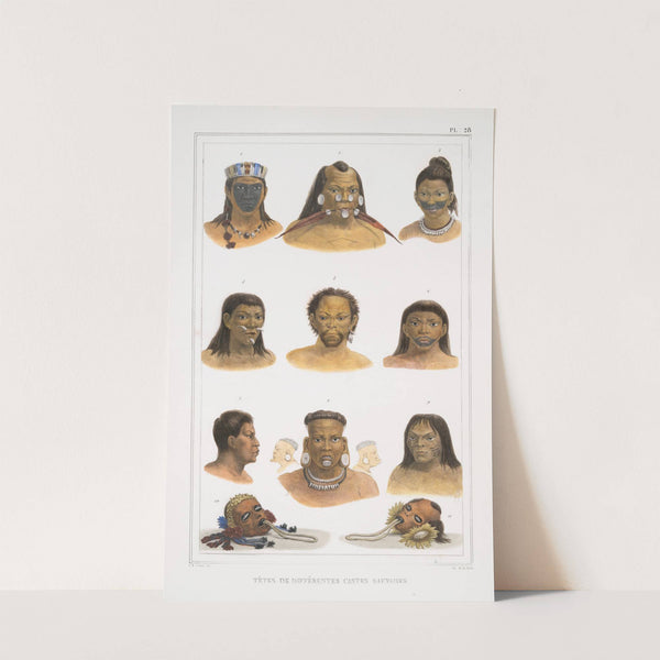 Têtes de différentes castes sauvages by Jean Baptiste Debret