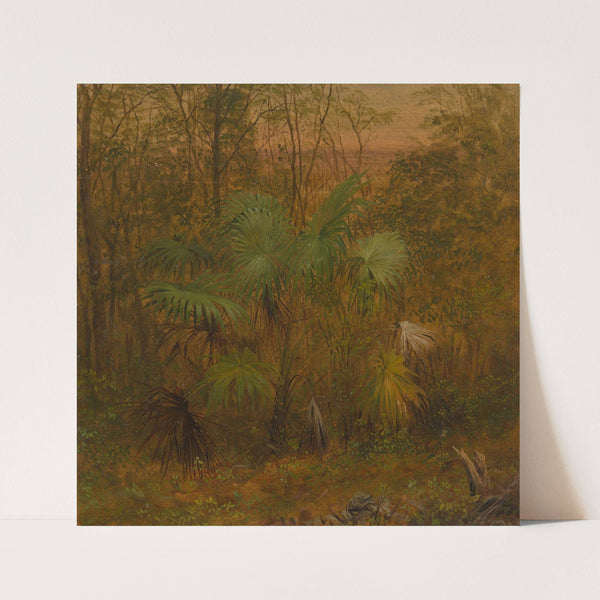 Thatch Palm, Jamaica (1865) by Frederic Edwin Church
