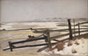Thaw (1901)