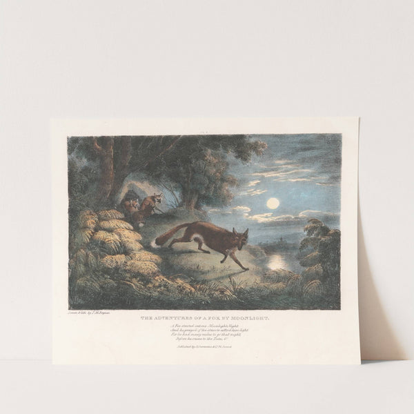 The Adventures of a Fox by Moonlight by Thomas Mann Baynes