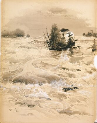 The American Rapids by Moonlight