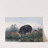 The Andaman Pig by Joseph Wolf