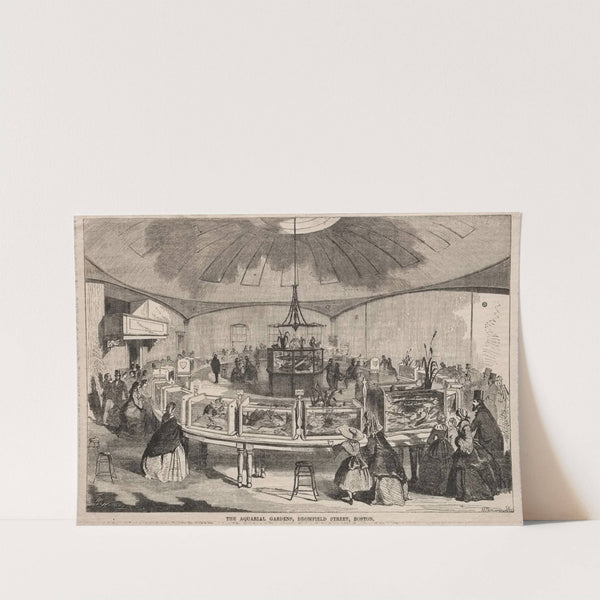 The Aquarial Gardens, Bromfield Street, Boston (1859) by Winslow Homer