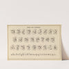 The art of lettering and sign painter’s manual Pl.27 (1878) by Allen P Boyce