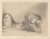 The Ass and the Sick Lion