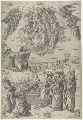 The Assumption of the Virgin (c. 1495)