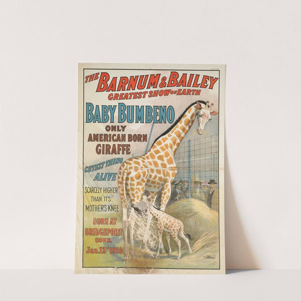 The Barnum & Bailey greatest show on earth : Baby Bumbeno, only American born giraffe, cutest thing alive (1910) by Strobridge & Co. Lith.