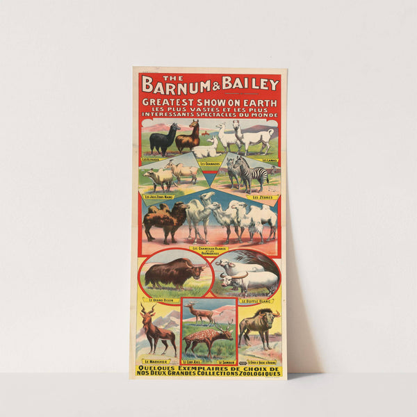 The Barnum & Bailey greatest show on earth. Les plus vastes et les plus intéressants spectacles du monde (1901) by Imp. Paul Dupont