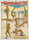 The Barnum & Bailey greatest show on earth : The Apollo trio