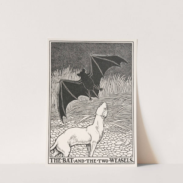 The Bat and the Two Weasels by Percy J. Billinghurst