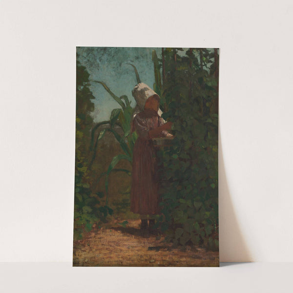 The Bean Picker by Winslow Homer