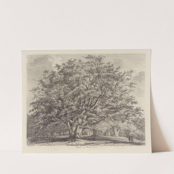 The Beech Tree at Knole by Jacob George Strutt