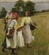The Blackberry Harvest