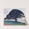 The Bonaventure Pine by Paul Signac