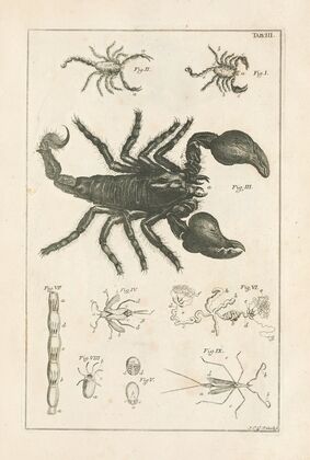 The book of nature, or, The history of insects Pl.03